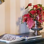 Townhouse - Comfort And Style In The Historic Heart Of Seia