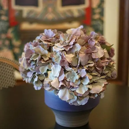 Ferienhaus Townhouse - Comfort And Style In The Historic Heart Of Seia