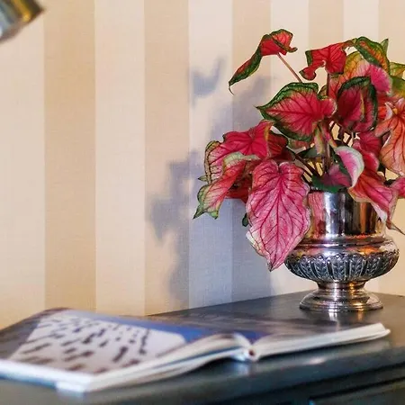 Townhouse - Comfort And Style In The Historic Heart Of Seia