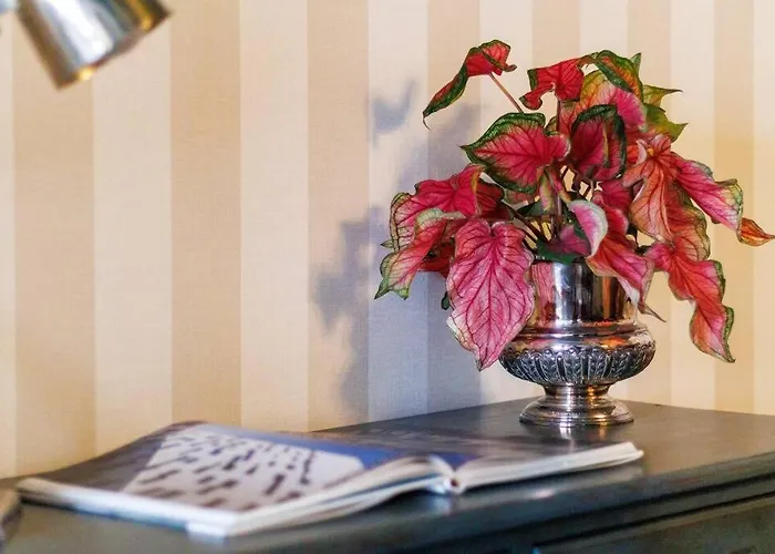 Townhouse - Comfort And Style In The Historic Heart Of セイア